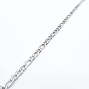 αλυσίδα με τους μεσαίου μεγέθους κρίκους